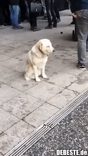 Wenn ich morgens in die Arbeit fahre..