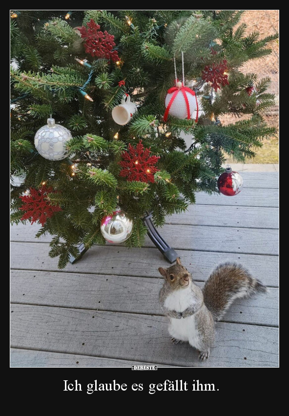 Ich glaube es gefällt ihm