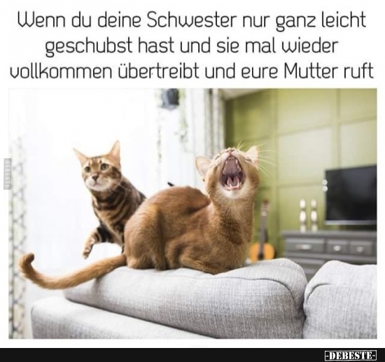 Wenn du deine Schwester nur ganz leicht geschubst hast und.. - Lustige Bilder | DEBESTE.de