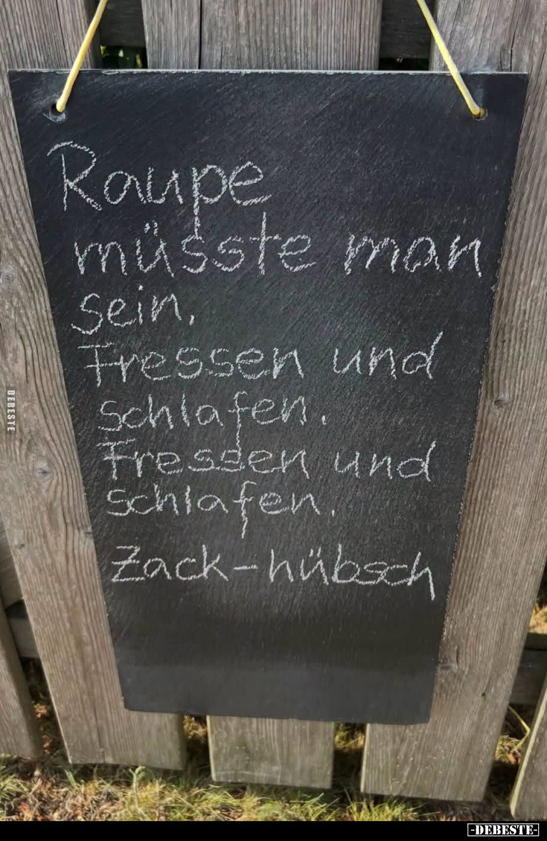 Raupe
müsste man Sein,
Fressen und
Schlafen.
Fressen und Schlafen.
Zack-hübsch.