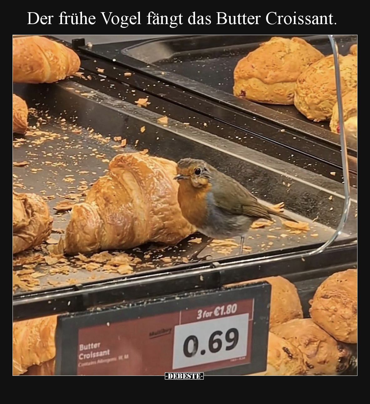 Der frühe Vogel fängt das Butter Croissant.
