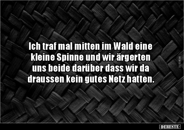 Ich traf mal mitten im Wald eine kleine Spinne und wir.. - Lustige Bilder | DEBESTE.de