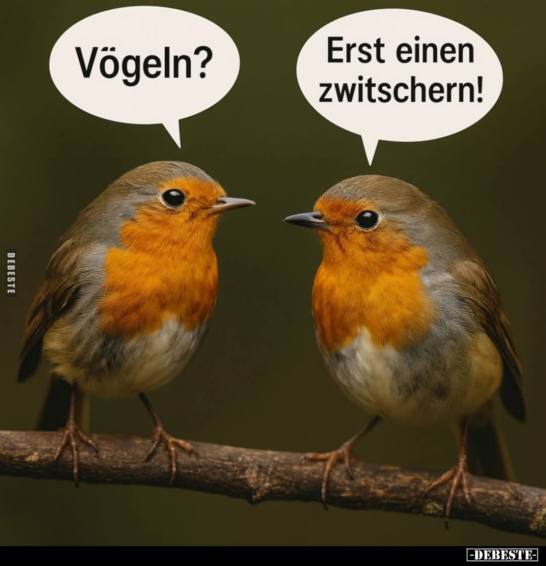 Vögeln? -
Erst einen zwitschern!