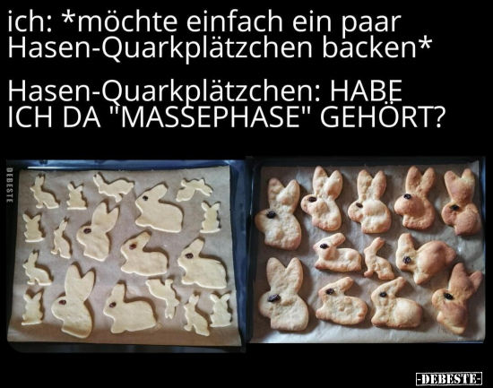 Ich: *möchte einfach ein paar Hasen-Quarkplätzchen.. - Lustige Bilder | DEBESTE.de