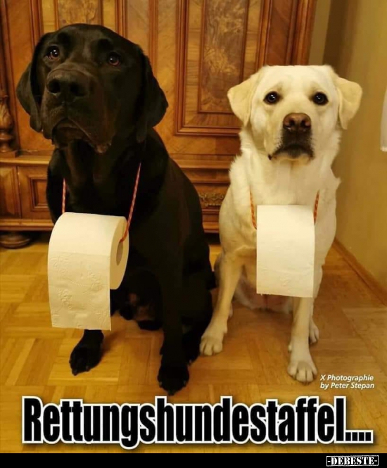 Rettungshundestaffel... - Lustige Bilder | DEBESTE.de