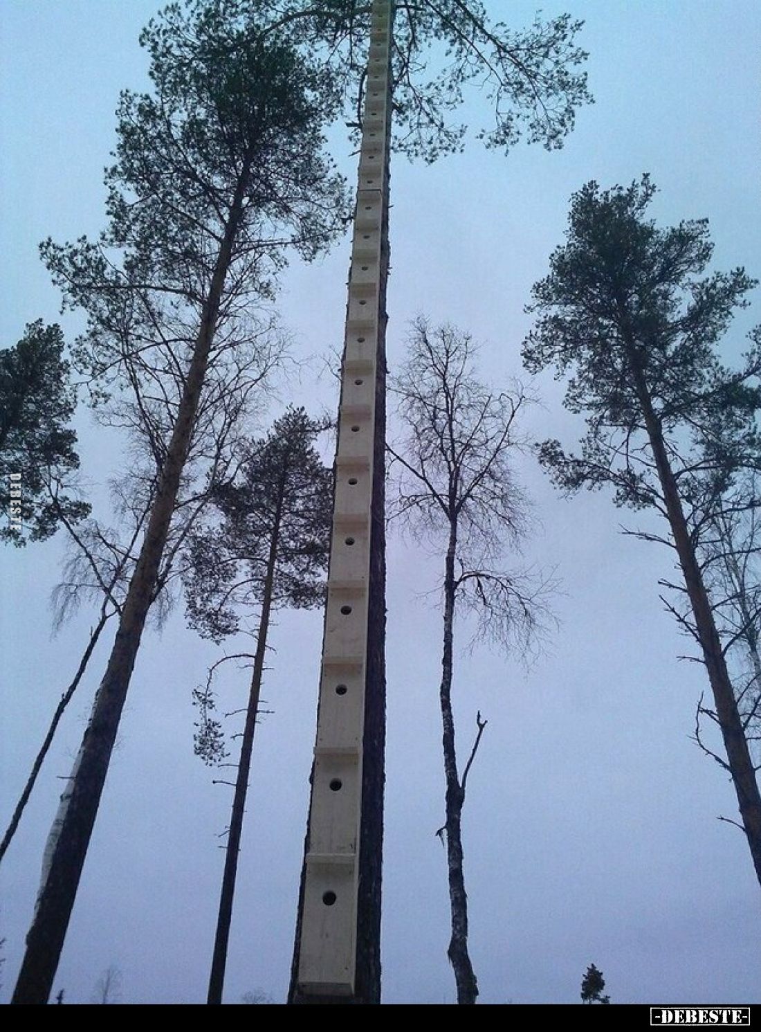  - Lustige Bilder | DEBESTE.de