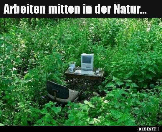 Arbeiten mitten in der Natur... - Lustige Bilder | DEBESTE.de