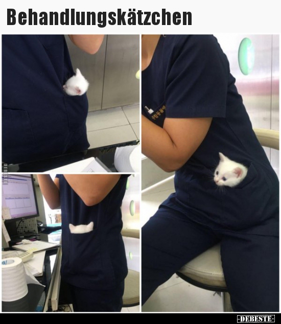Behandlungskätzchen..