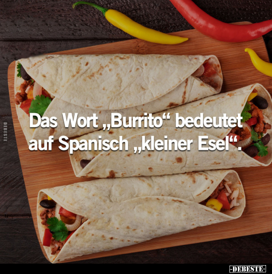 Das Wort "Burrito" bedeutet auf Spanisch "kleiner Esel".. - Lustige Bilder | DEBESTE.de
