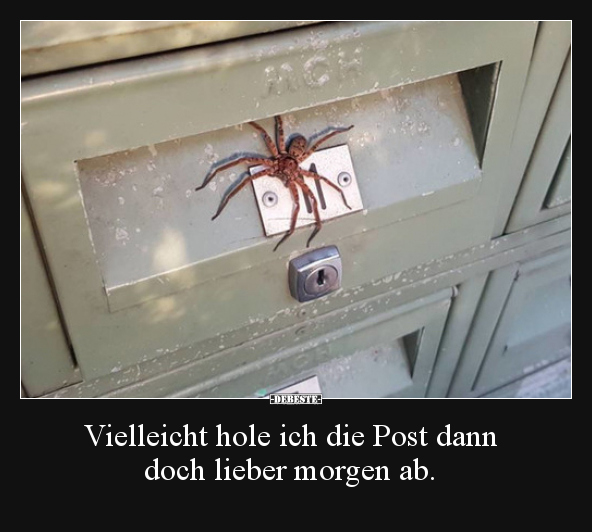 Vielleicht hole ich die Post dann doch lieber morgen ab... - Lustige Bilder | DEBESTE.de