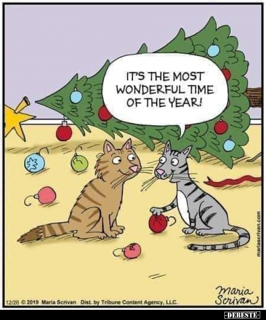 IT'S THE MOST WONDERFUL TIME OF THE YEAR!