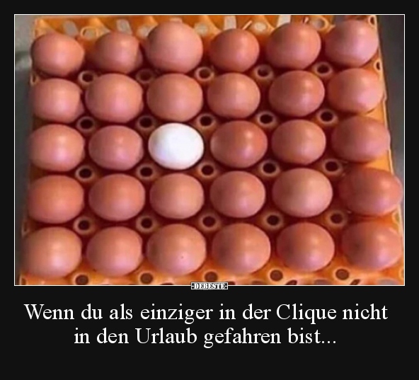 Wenn du als einziger in der Clique nicht in den Urlaub..