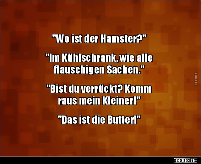 "Wo ist der Hamster?".. "Im Kühlschrank, wie alle.." - Lustige Bilder | DEBESTE.de