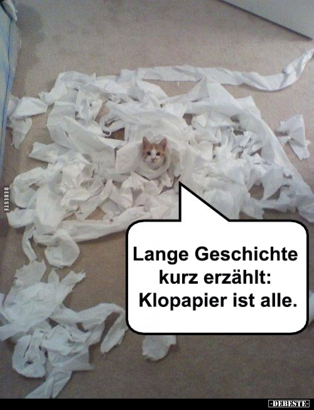 Lange Geschichte kurz erzählt: Klopapier ist alle.