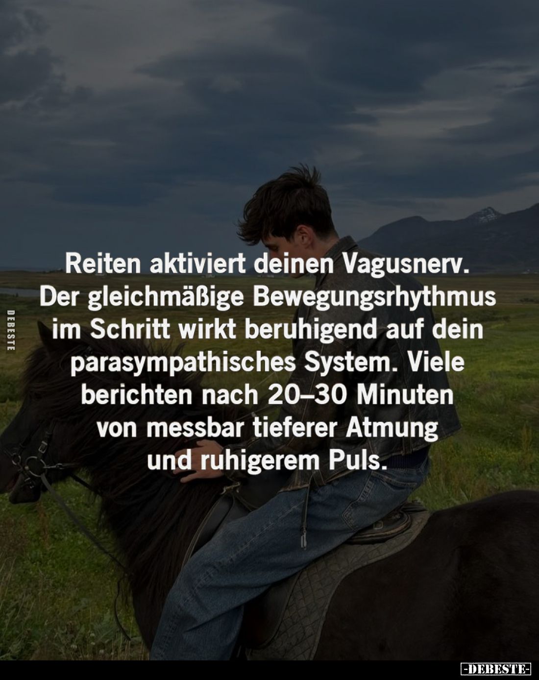 Reiten aktiviert deinen Vagusnerv. Der gleichmäßige Bewegungsrhythmus im Schritt wirkt beruhigend auf dein parasympathisches ...