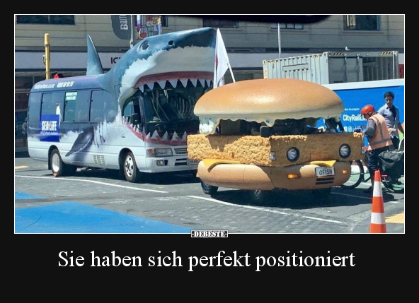 Sie haben sich perfekt positioniert.. - Lustige Bilder | DEBESTE.de