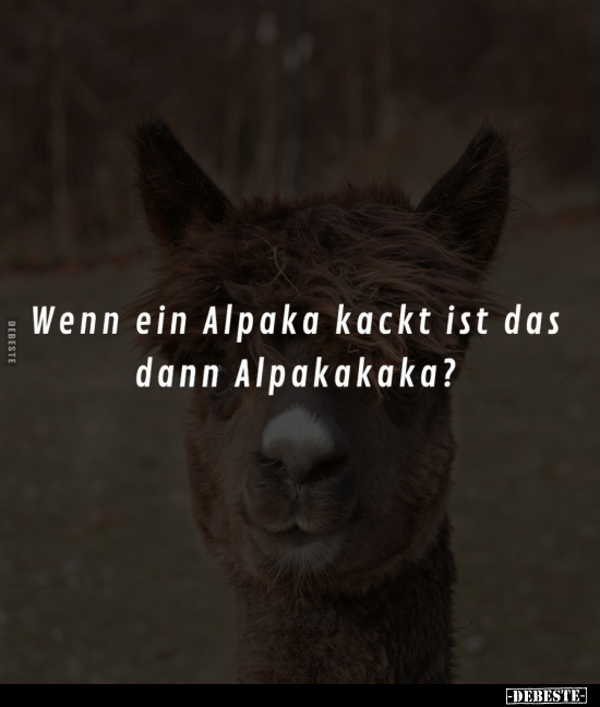 Wenn ein Alpaka ka*ckt ist das dann Alpakakaka?.. - Lustige Bilder | DEBESTE.de