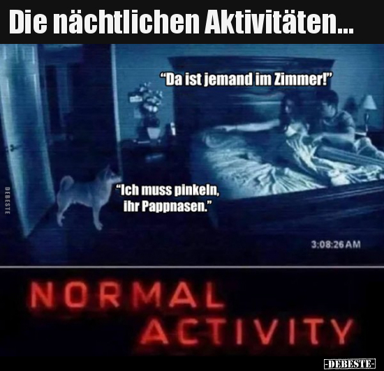 Die nächtlichen Aktivitäten...