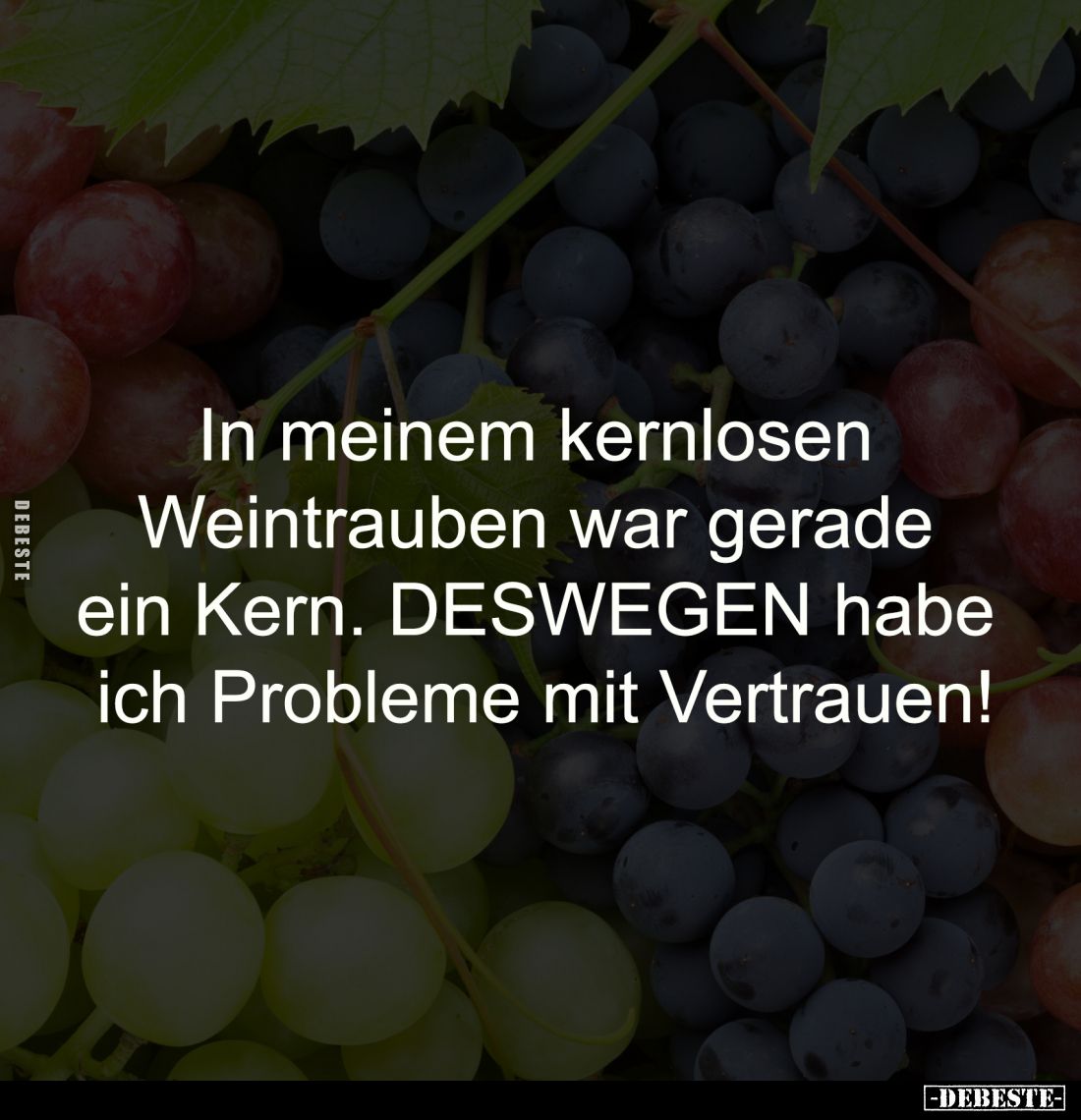 In meinem kernlosen Weintrauben
war gerade ein Kern. DESWEGEN habe
ich Probleme mit Vertrauen!