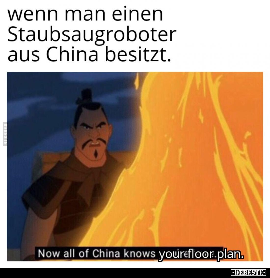 Wenn man einen Staubsaugroboter... - Lustige Bilder | DEBESTE.de