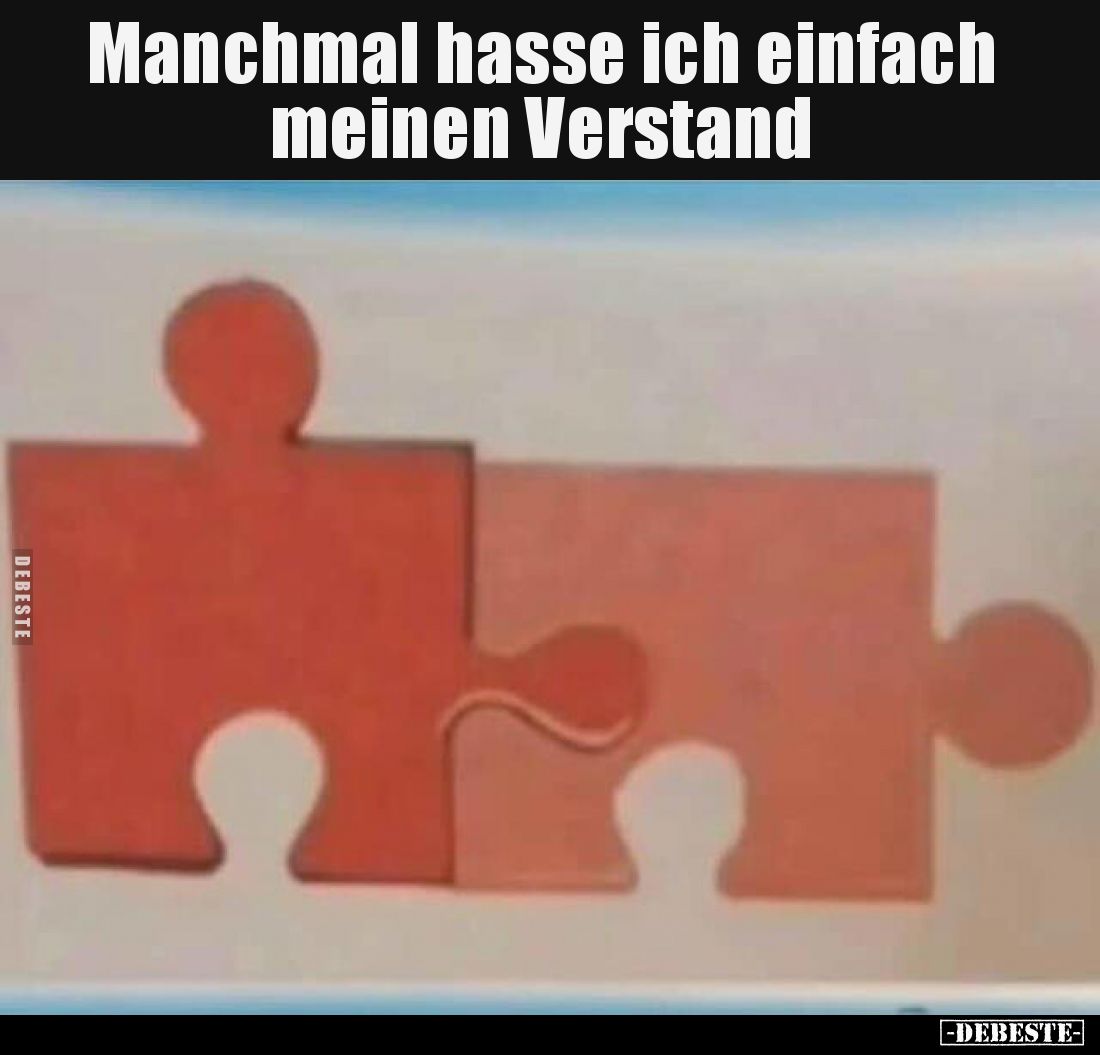 Manchmal hasse ich einfach meinen Verstand.