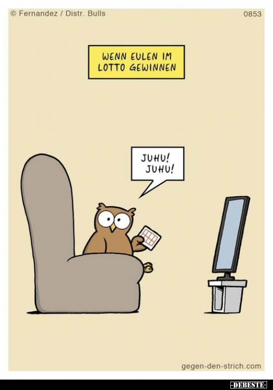 Wenn Eulen im Lotto gewinnen.. - Lustige Bilder | DEBESTE.de