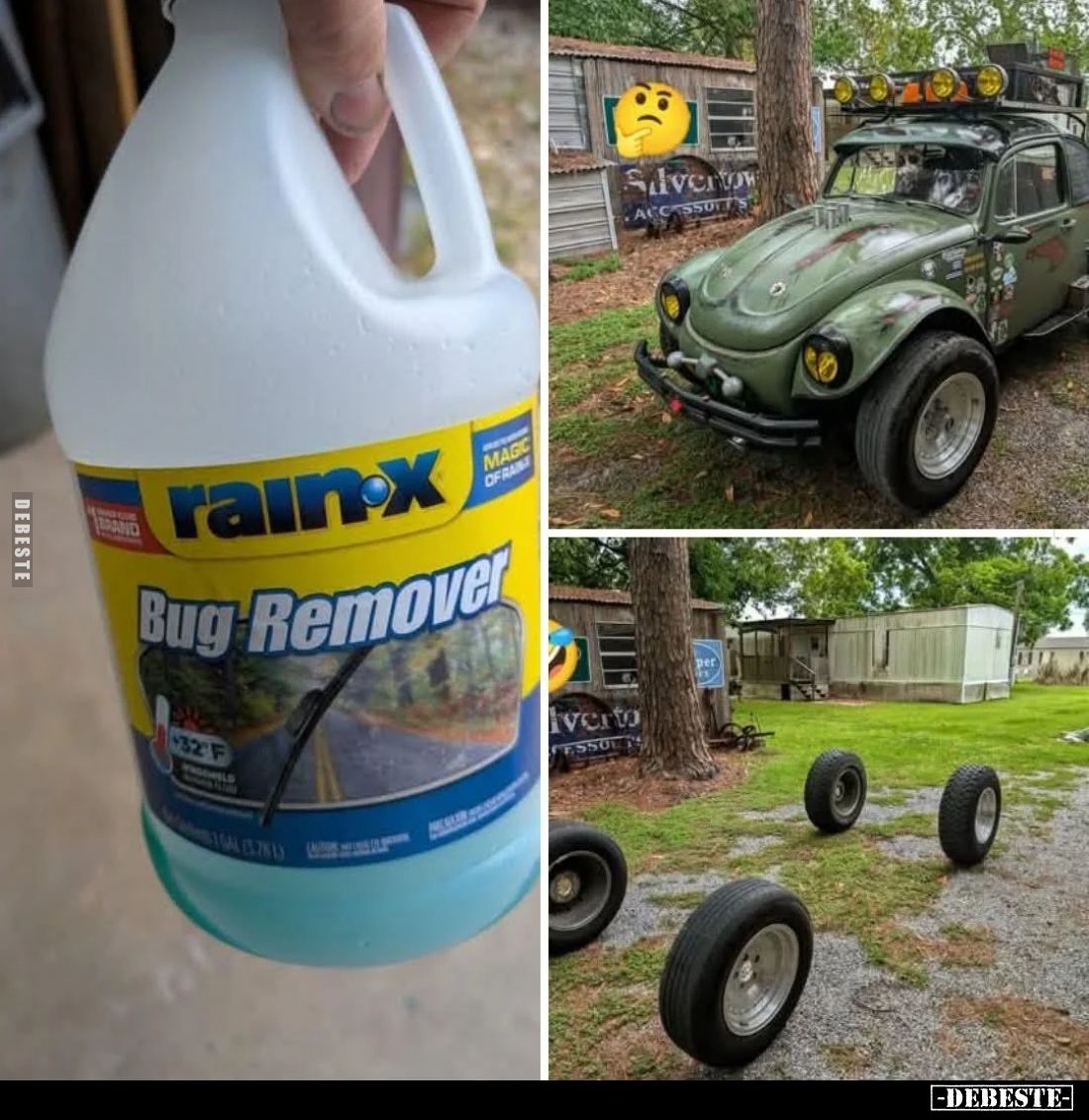 Bug Remover