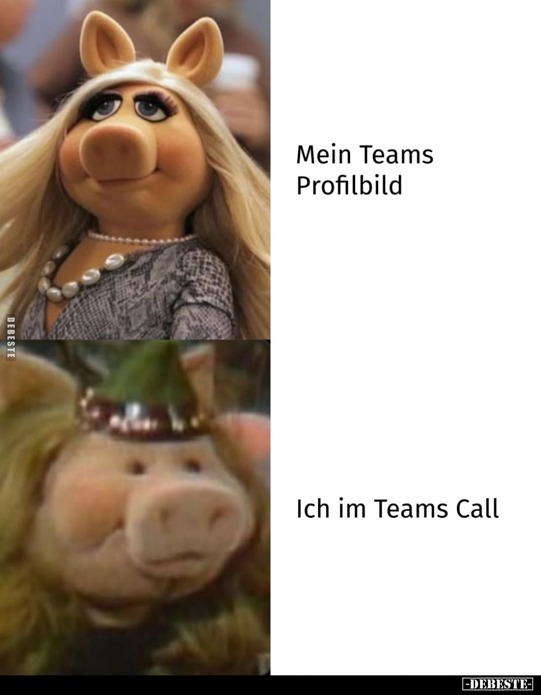 Mein Teams Profilbild
-
Ich im Teams Call
