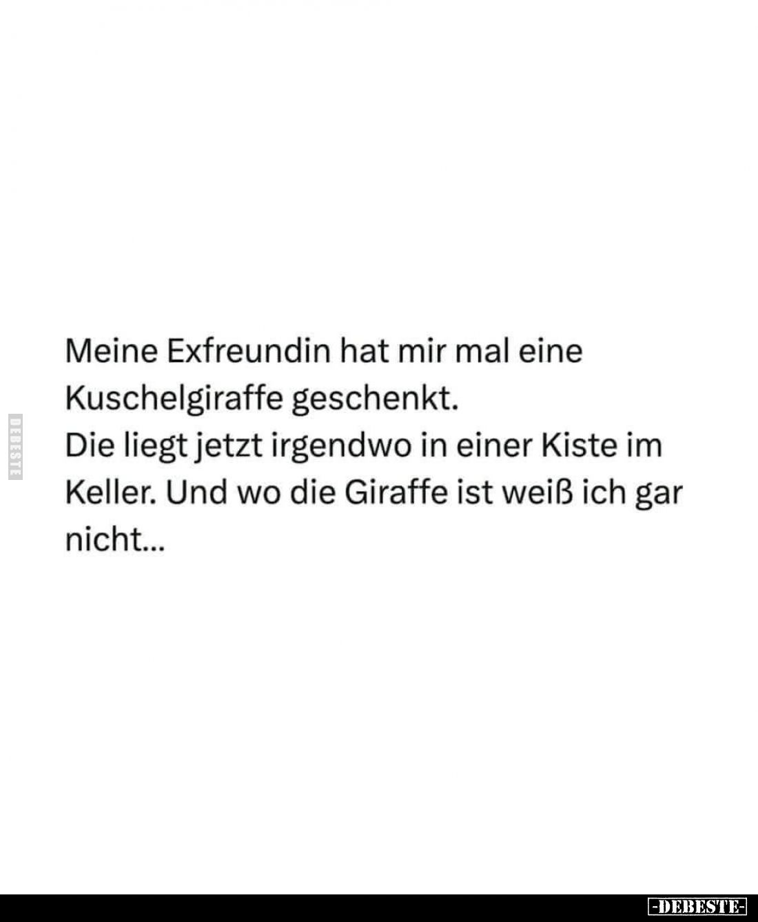 Meine Exfreundin hat mir mal eine Kuschelgiraffe.. - Lustige Bilder | DEBESTE.de