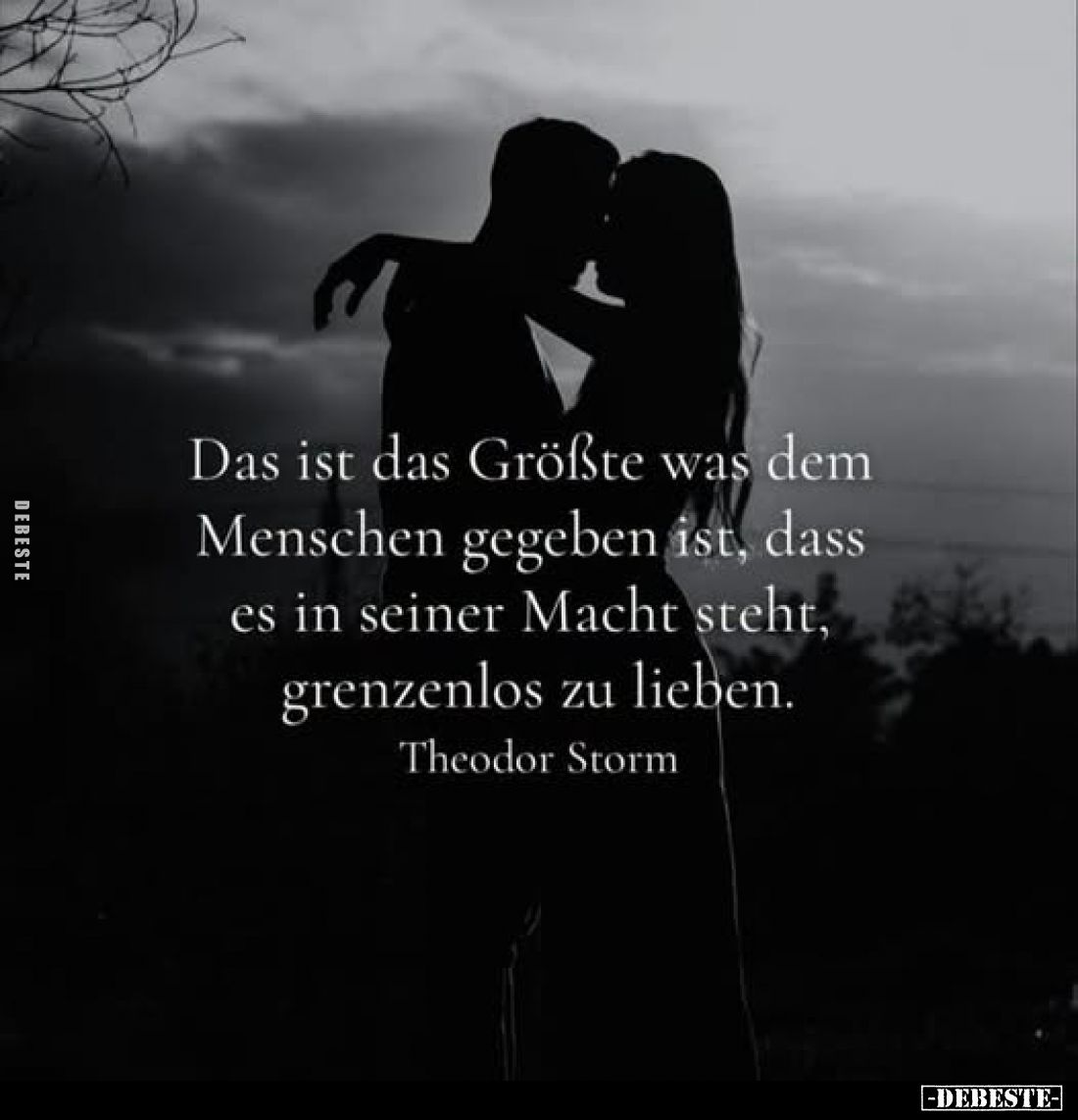 Das ist das Größte was dem Menschen gegeben ist, dass es in seiner Macht steht, grenzenlos zu lieben.

Theodor Storm