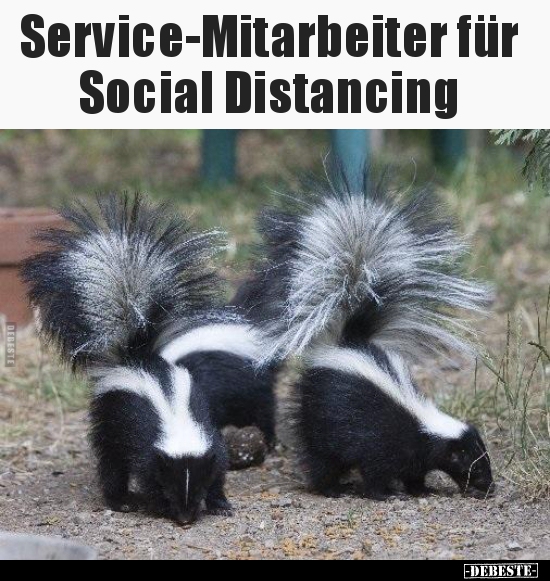 Service-Mitarbeiter für Social Distancing.. - Lustige Bilder | DEBESTE.de