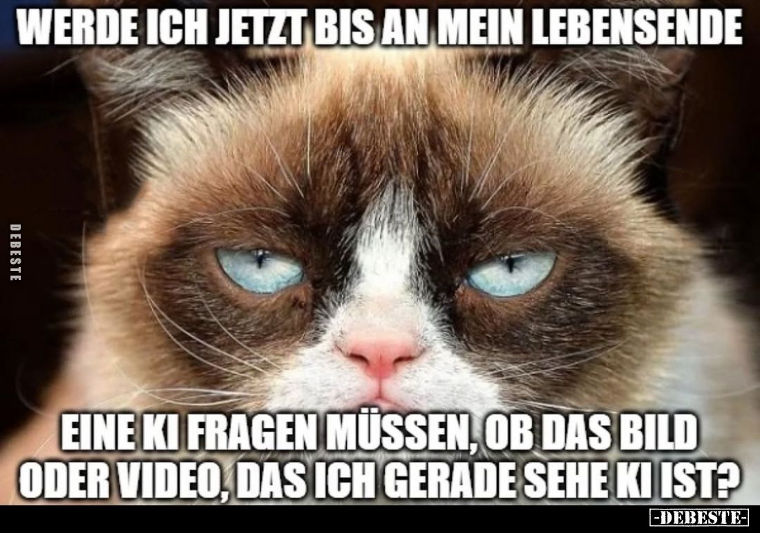 Werde ich jetzt bis an mein Lebensende.
Eine KI fragen müssen, ob das Bild oder Video, das ich gerade sehe KI ist?