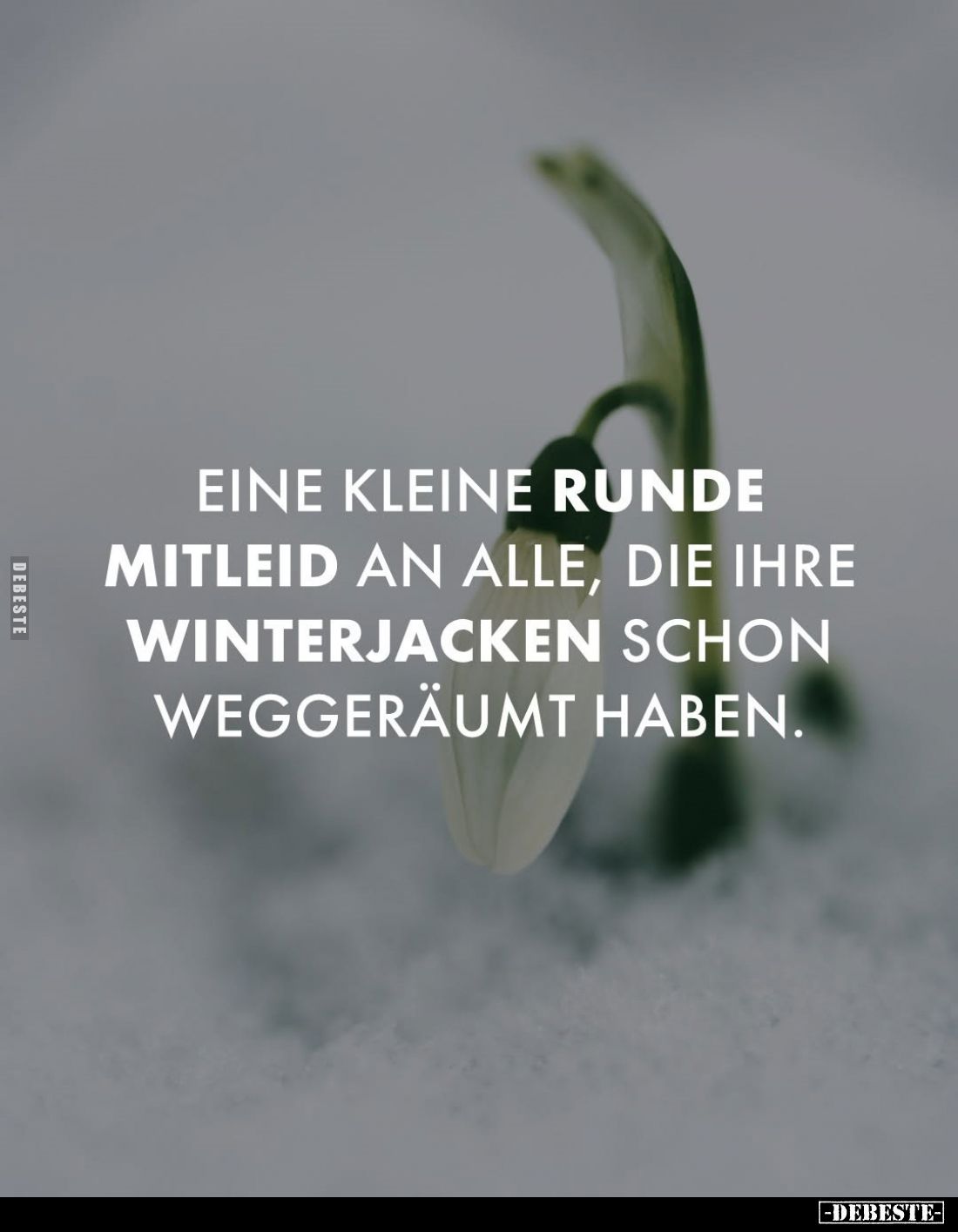 Eine kleine Runde Mitleid an alle, die ihre Winterjacken schon weggeräumt haben.
