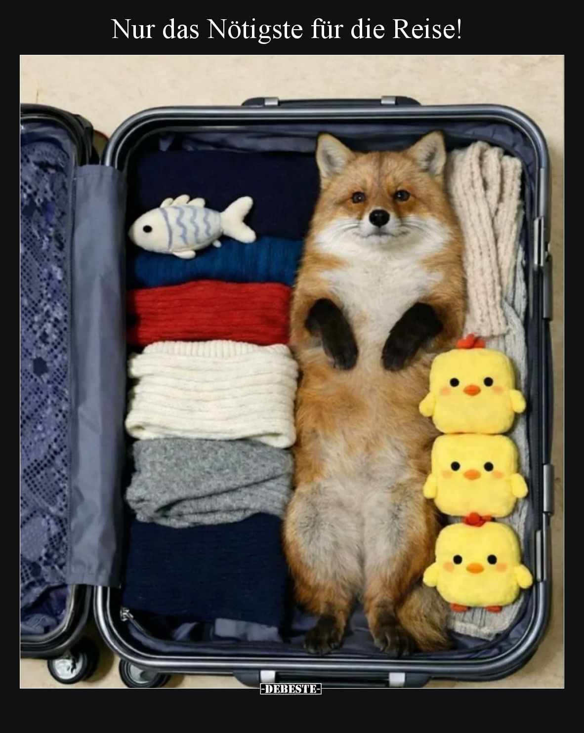 Nur das Nötigste für die Reise!