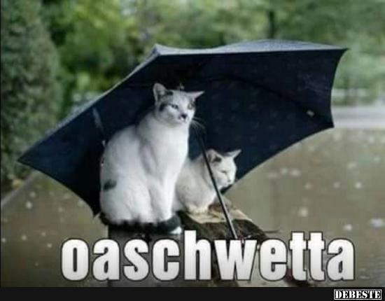Oaschwetta.