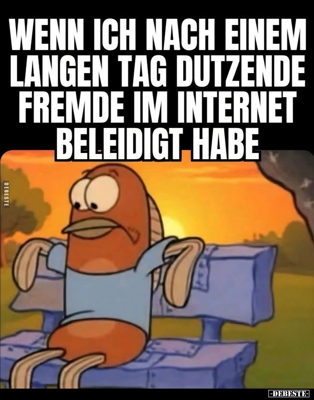 Wenn ich nach einem langen Tag dutzende Fremde im Internet beleidigt habe.