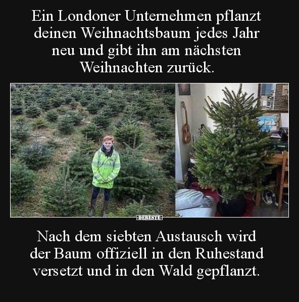 Ein Londoner Unternehmen pflanzt deinen Weihnachtsbaum.. - Lustige Bilder | DEBESTE.de