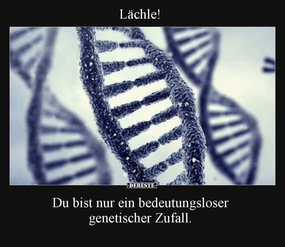 Lächle!  Du bist nur ein bedeutungsloser genetischer Zufall.