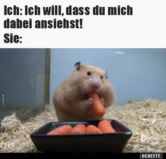 Ich: Ich will, dass du mich dabei ansiehst...!
Sie: