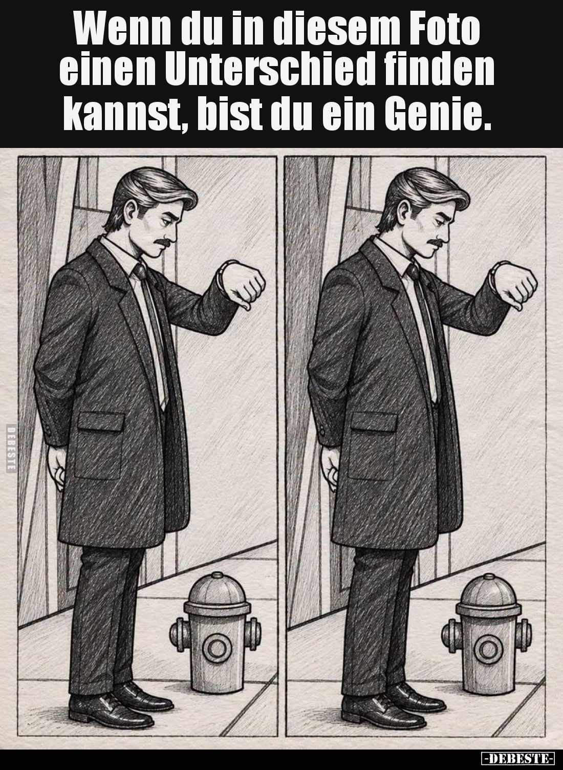 Wenn du in diesem Foto
einen Unterschied finden kannst,
bist du ein Genie.