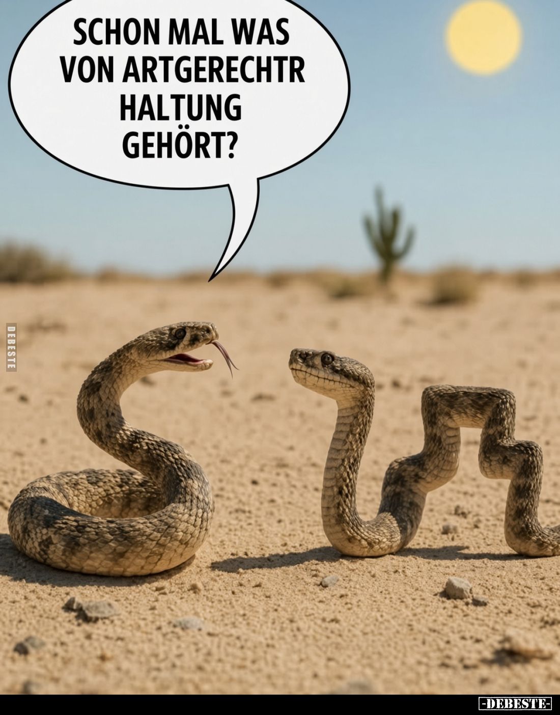 Schon mal was von artgerechtr Haltung gehört?