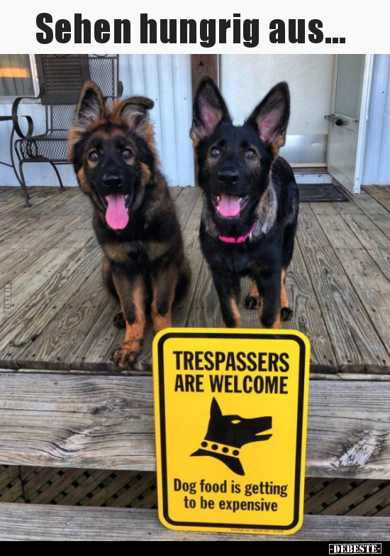 Sehen hungrig aus...