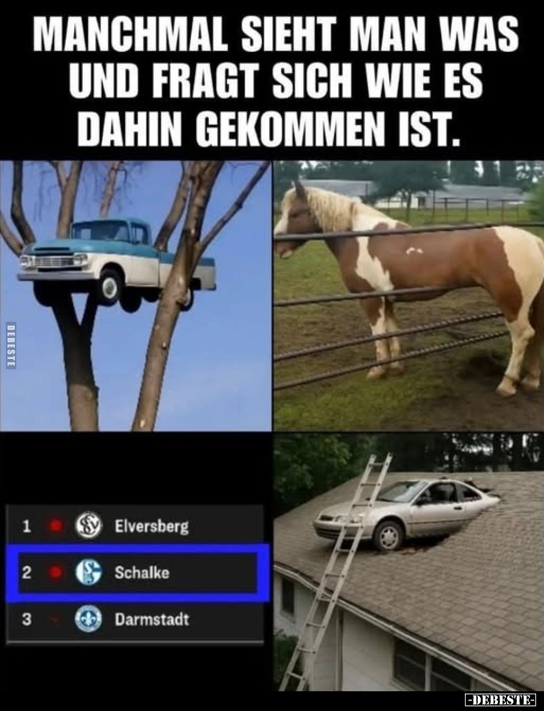 Manchmal sieht man was und fragt sich wie es dahin gekommen ist.