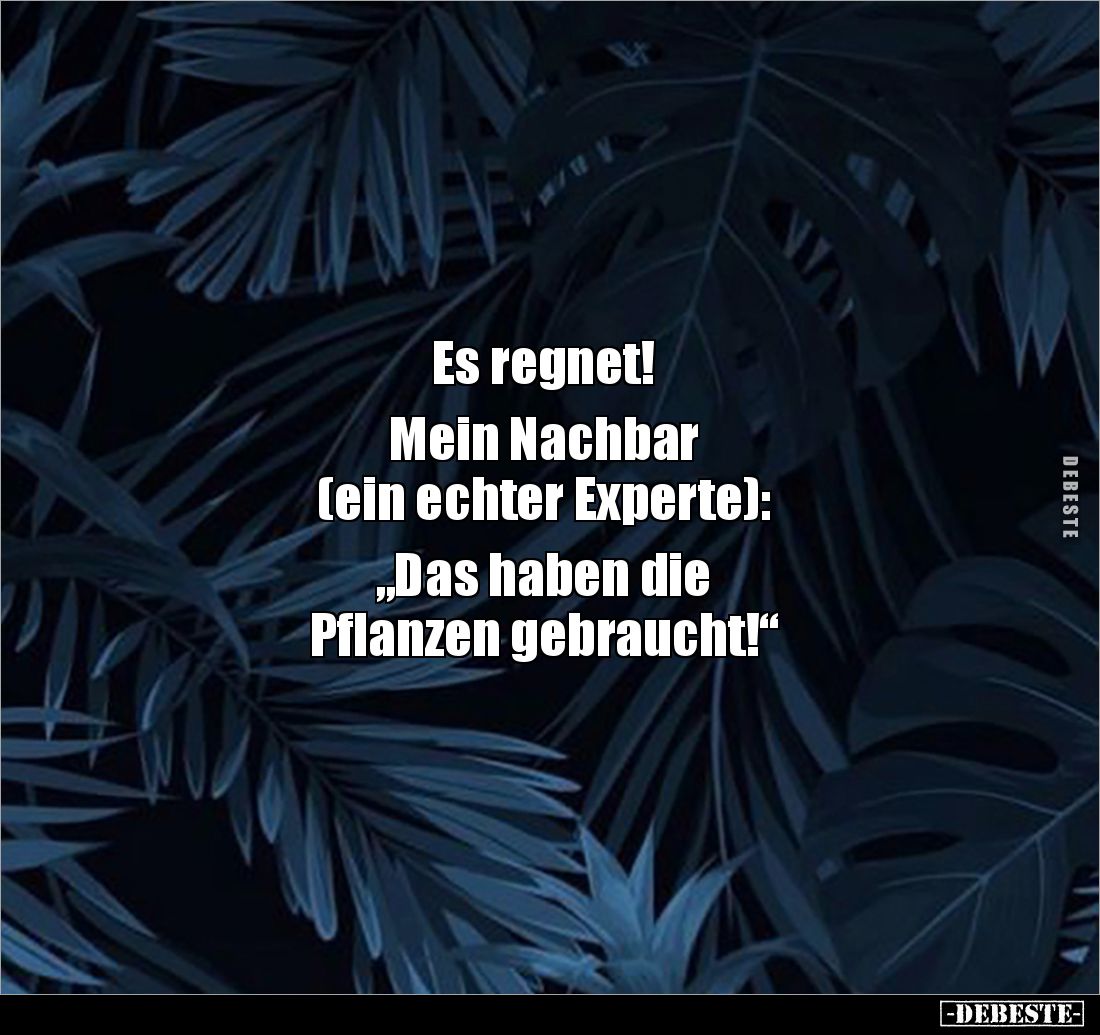 Es regnet!

Mein Nachbar
(ein echter Experte):

„Das haben die 
Pflanzen gebraucht!“