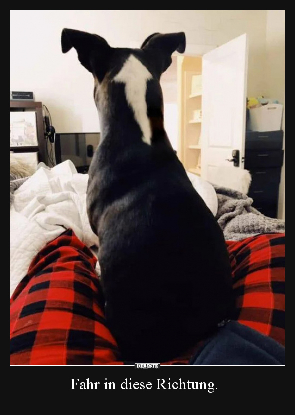 Fahr in diese Richtung...