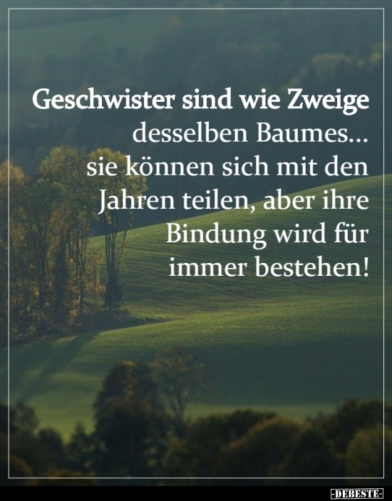 Geschwister sind wie Zweige desselben Baumes... Lustige Bilder