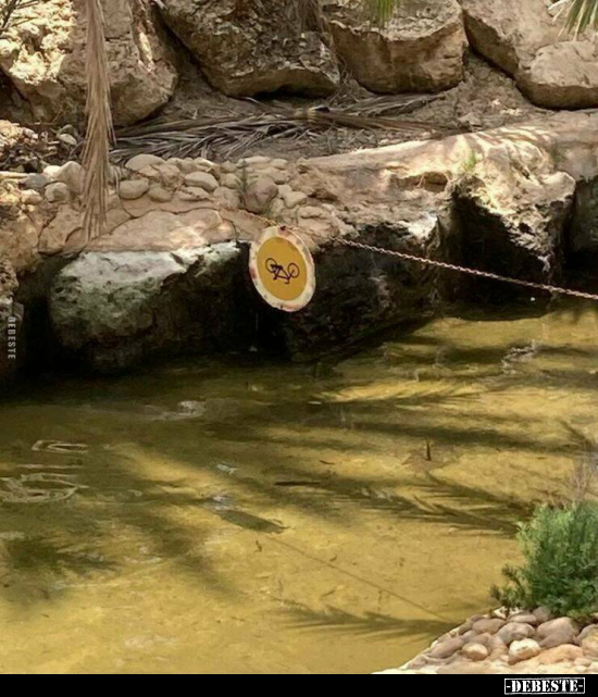  - Lustige Bilder | DEBESTE.de