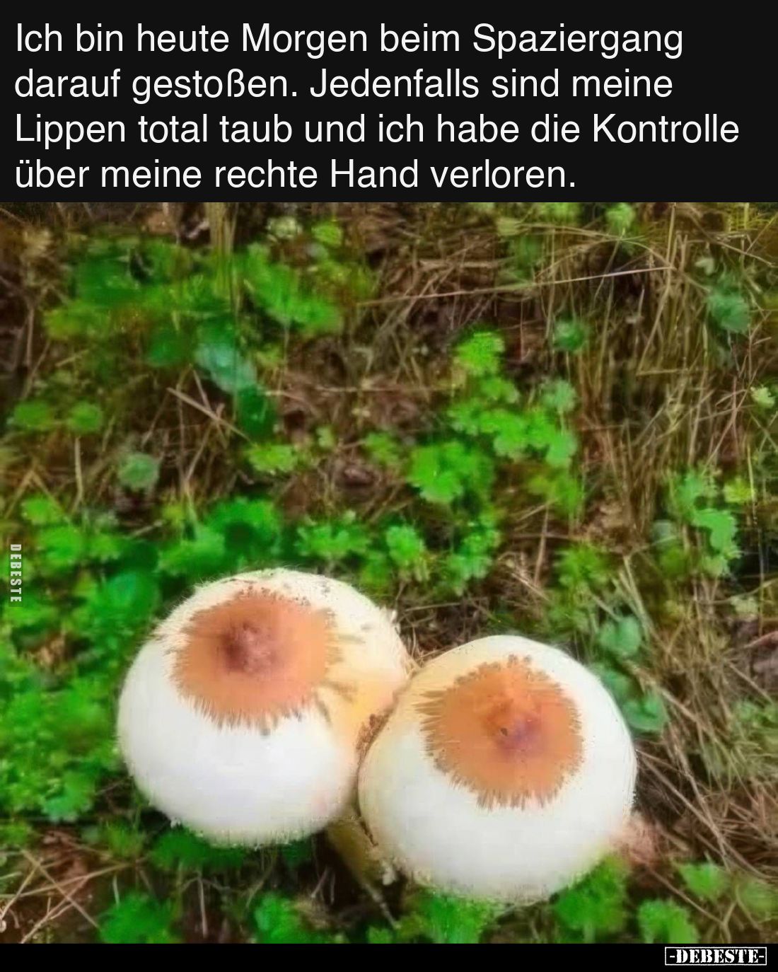 Ich bin heute Morgen beim Spaziergang darauf gestoßen. Jedenfalls sind meine Lippen total taub und ich habe die Kontrolle übe...
