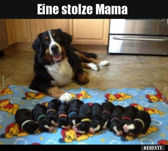 Eine stolze Mama.. - Lustige Bilder | DEBESTE.de