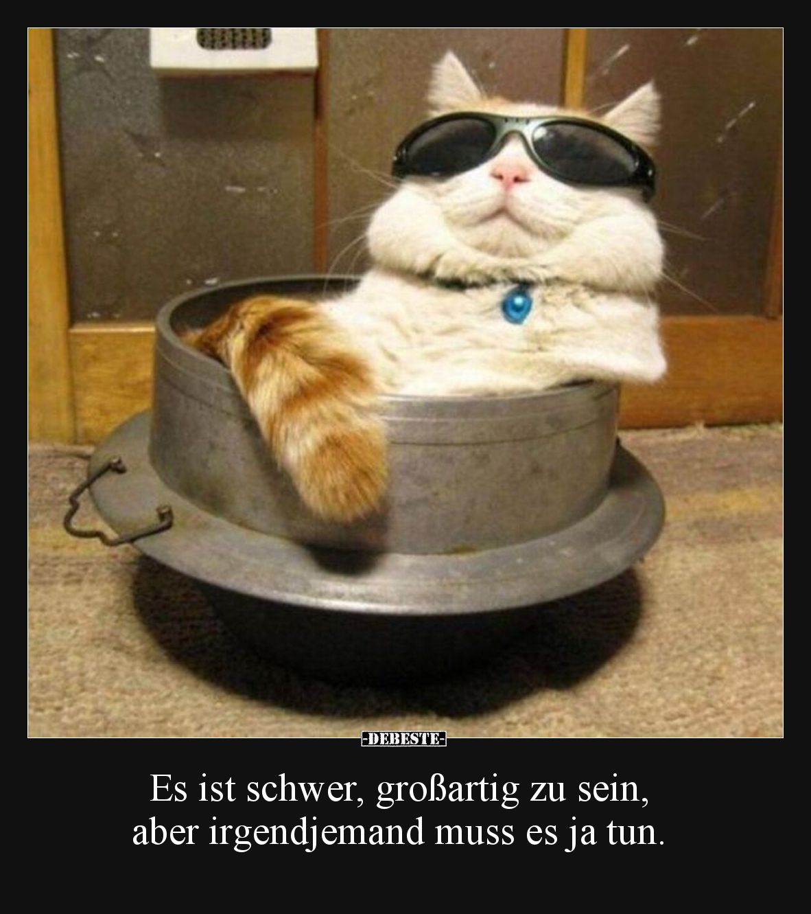 Es ist schwer, großartig zu sein, aber irgendjemand muss.. - Lustige Bilder | DEBESTE.de